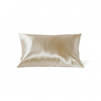 Honeylux - Taie d'oreiller queen en soie biologique - Champagne