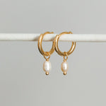 Horace - Boucles d'oreilles dolko