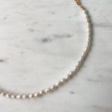 Horace - Collier de perles relo